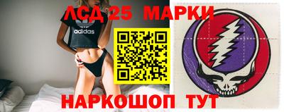 индика Новозыбков