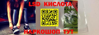 индика Новозыбков