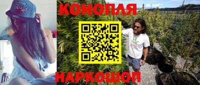 мяу мяу мука Новодвинск