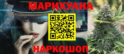 индика Новозыбков