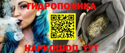 индика Новозыбков