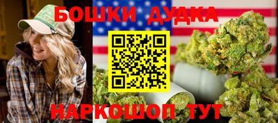 индика Новозыбков