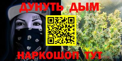 мяу мяу мука Новодвинск