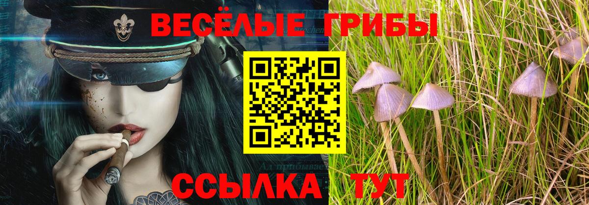 Псилоцибиновые грибы прущие грибы  Галлюциногенные грибы Psilocybine cubensis  Вход с VPN  Топки 